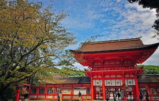 去日本旅行, 这9个景点的旅游体验, 总有一个是适合你的