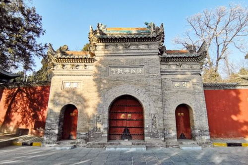 玄奘塔底隐藏神秘地宫,曾探测到金银佛像,为何专家不肯发掘