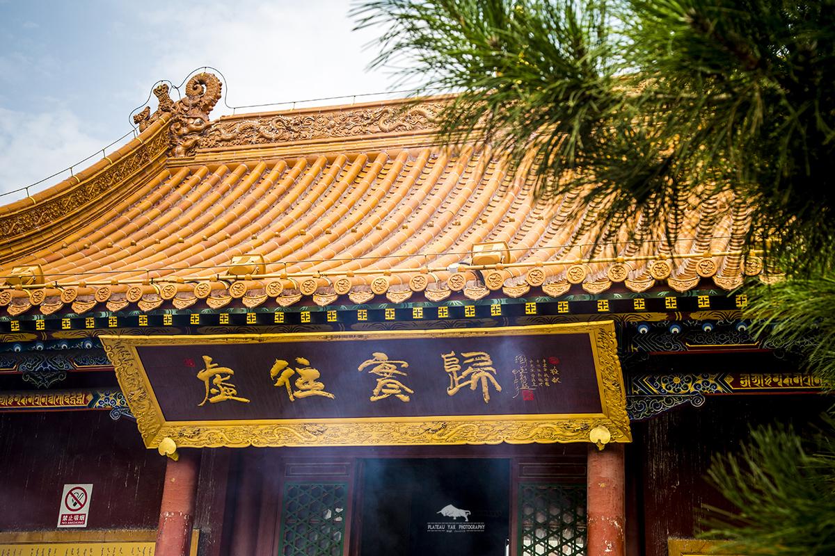 内蒙草原风情、美食之旅