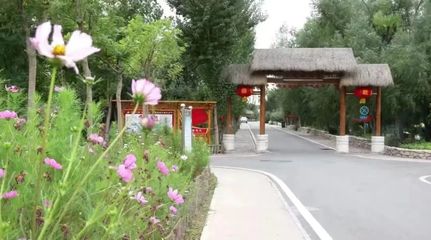 乡村振兴不停步 基层代表宣讲忙