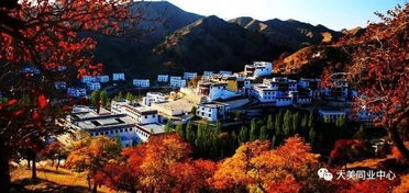 小布达拉宫 五当召一日游