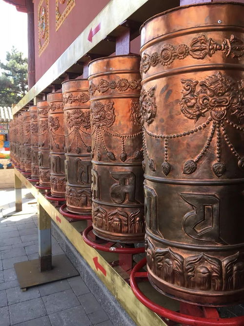 且行且吟 郑忠如斯说之90内蒙行之6