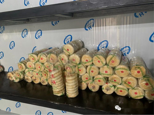 脱贫致富,乌审召嘎查 频出妙招