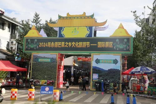 临沧永德 13个国家商品亮相永德芒果之乡 要闻 临沧频道 云南网