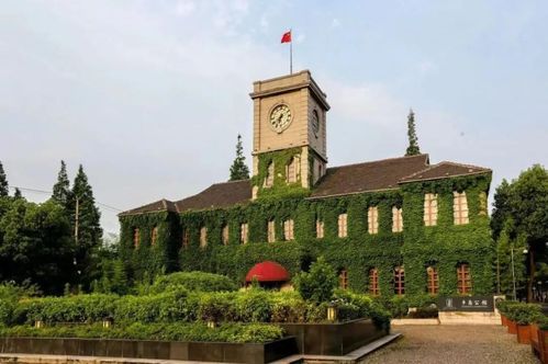 旅游节剧透 今年宝山区精彩活动抢先看
