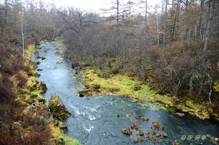 阿尔山与召庙之旅 探秘塞罕坝、地池、石塘林与大峡谷